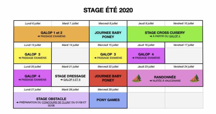 Planning stage été équitation saint amour