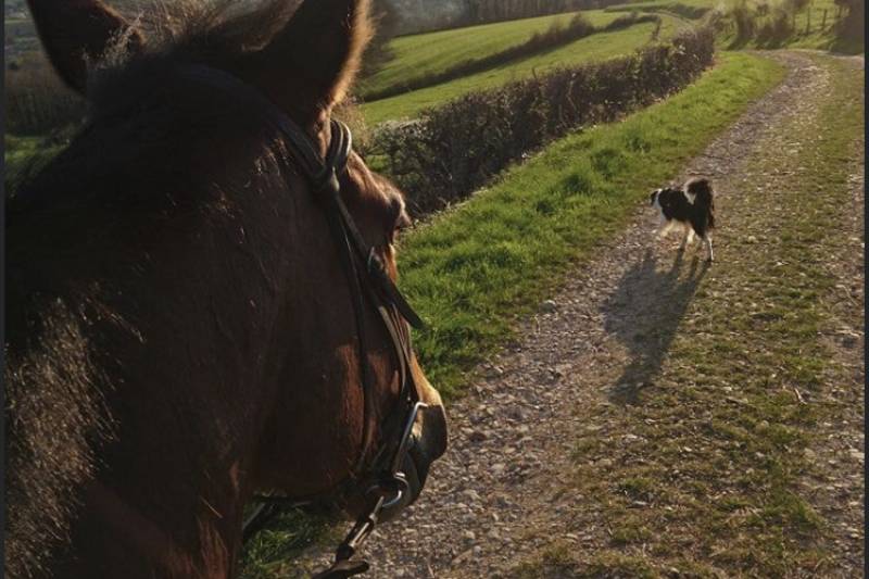 Balades et randonnées à cheval